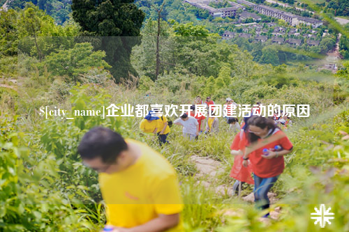 白沙企业都喜欢开展团建活动的原因